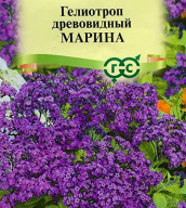Гелиотроп древовидный Марина "Гавриш"