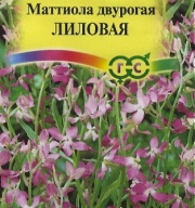 Маттиола двурогая Лиловая "Гавриш"