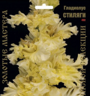 Гладиолус Стиляги 