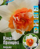 Нарцисс махровый Кэнди Принцесс 