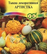 Тыква декоративная Артистка "Гавриш"