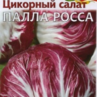 Цикорный салат Палла Росса "Гавриш"