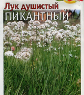 Лук душистый Пикантный "Русский огород"