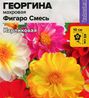 Георгина Фигаро смесь "семена Алтая"