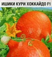 Тыква Ишики Кури Хоккайдо F1  "Сибирский сад"