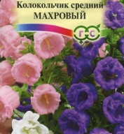 Колокольчик средний Махровый  "Гавриш"
