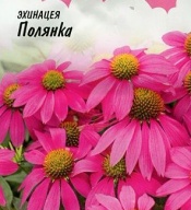 Эхинацея Полянка "Гавриш"